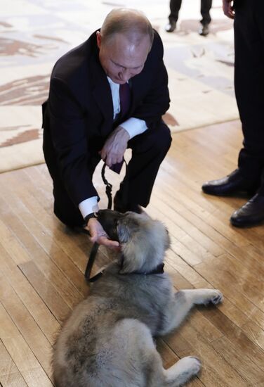 Vladimir Putin's official visit to Serbia