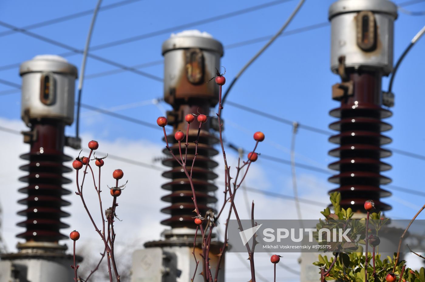 Syria Solar Power Plant