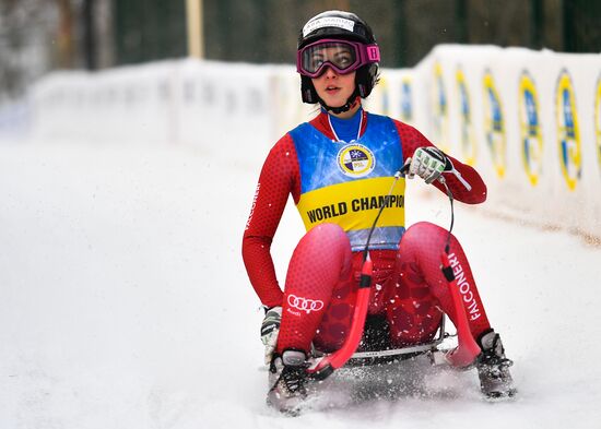 Russia Luge World Cup