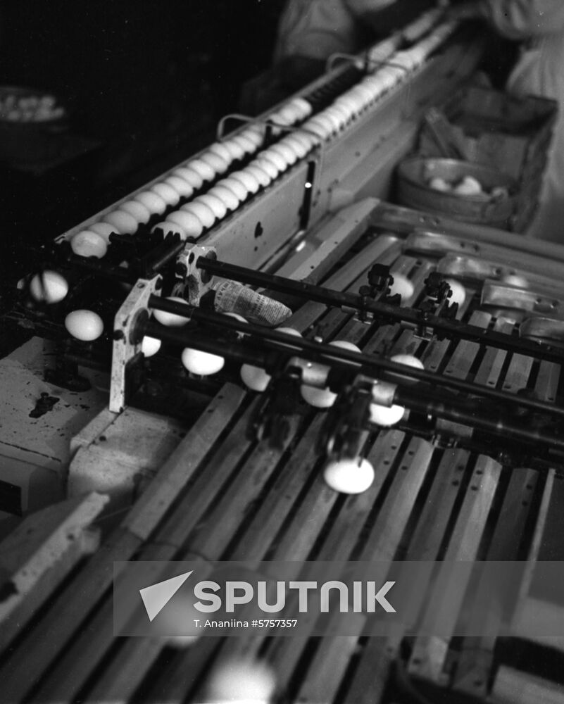 Minsk Poultry Farm
