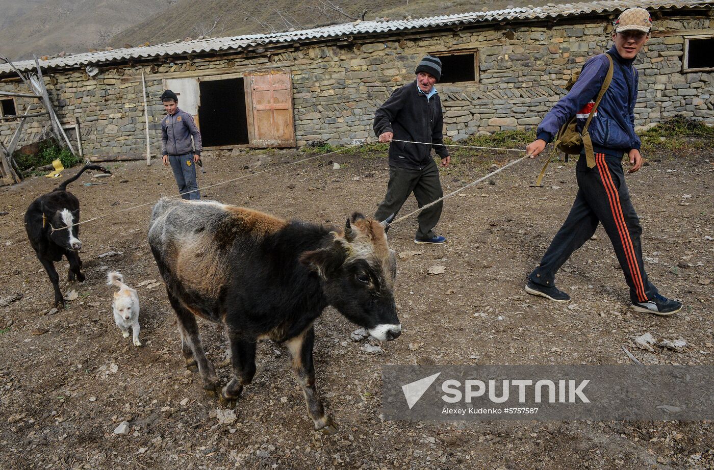 Russia Rural Life