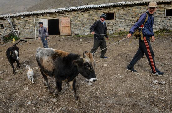 Russia Rural Life