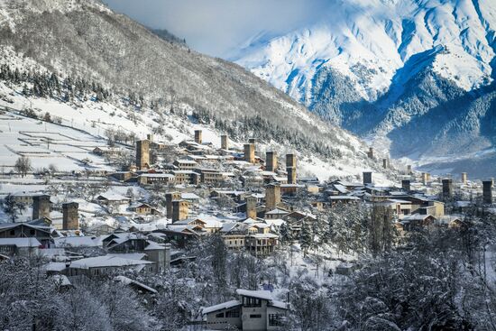 Georgia Svan Towers