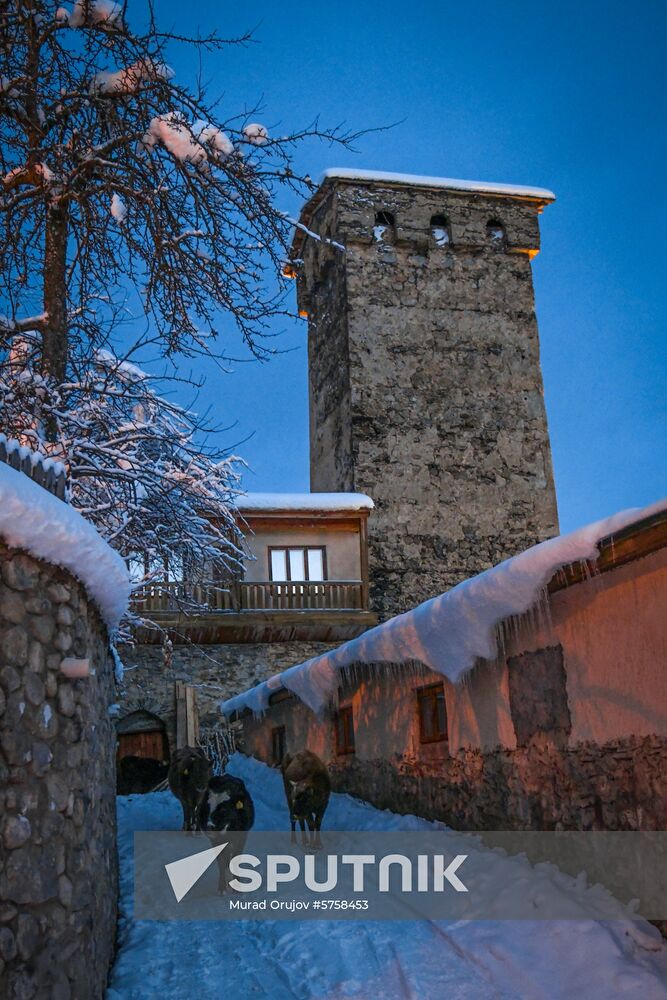 Georgia Svan Towers