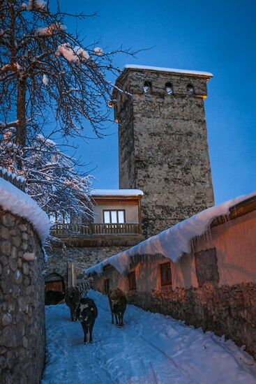 Georgia Svan Towers