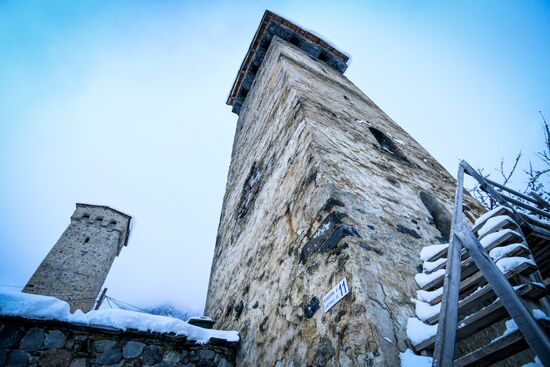 Georgia Svan Towers