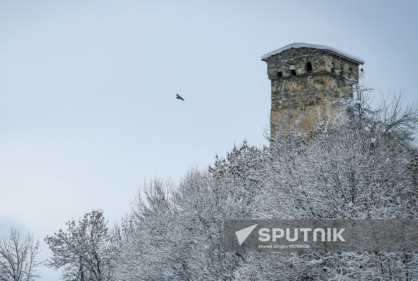 Georgia Svan Towers