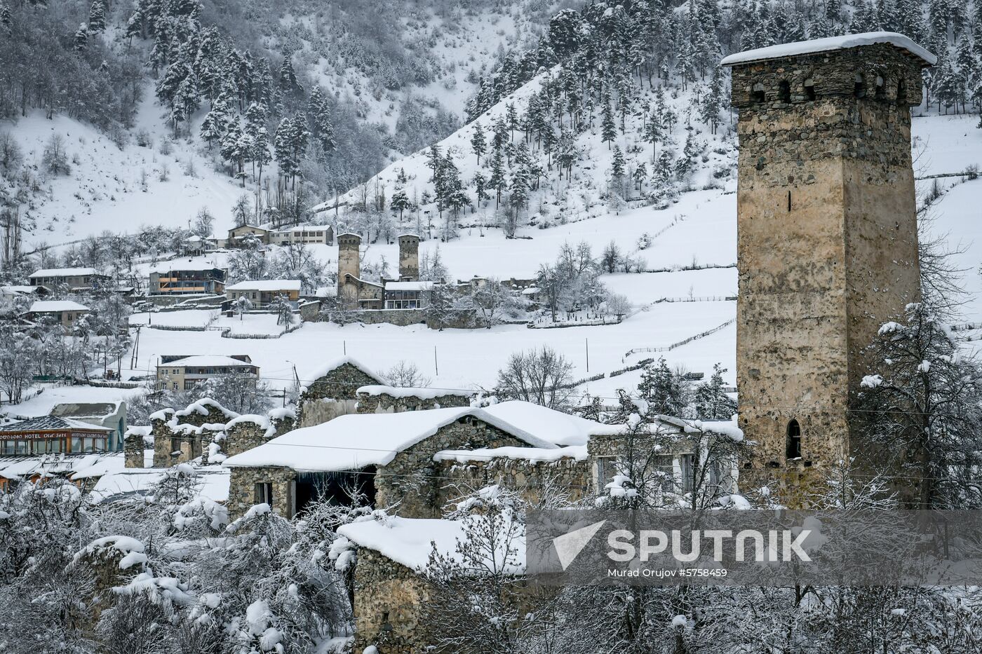 Georgia Svan Towers