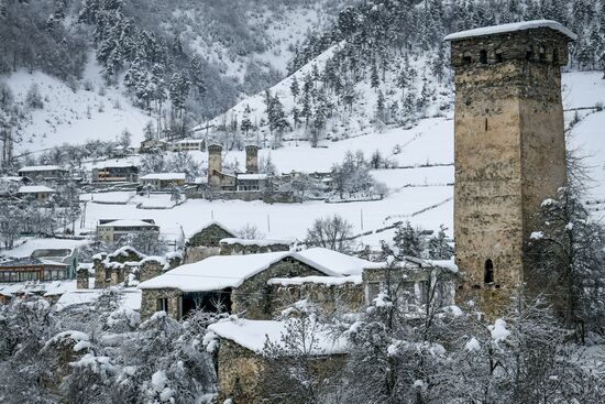 Georgia Svan Towers