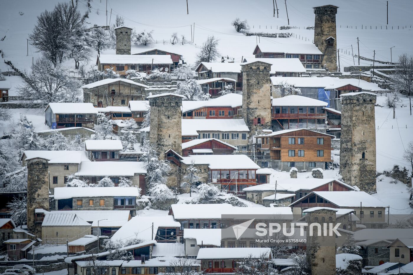 Georgia Svan Towers