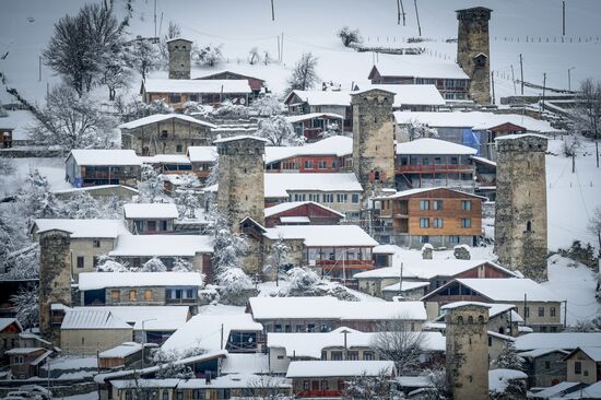 Georgia Svan Towers