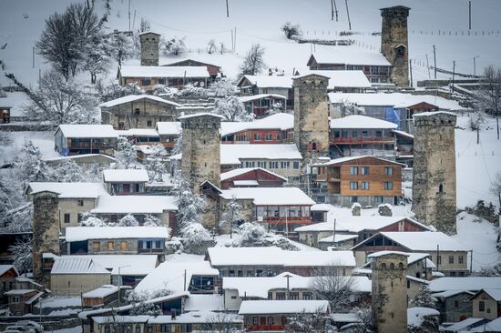 Georgia Svan Towers