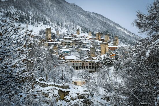 Georgia Svan Towers