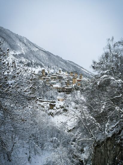 Georgia Svan Towers