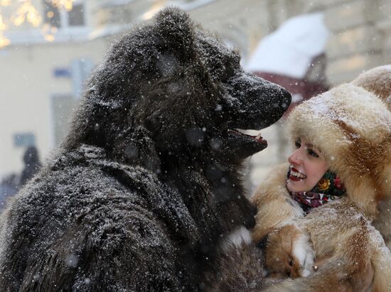 Russia Snow