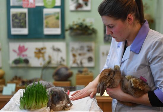 Russia Rabbits Exhibition