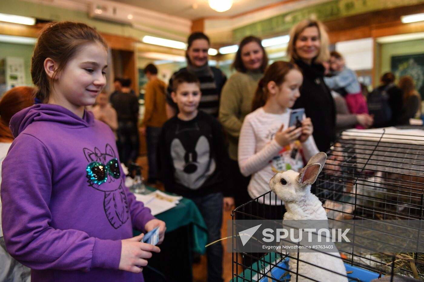 Russia Rabbits Exhibition