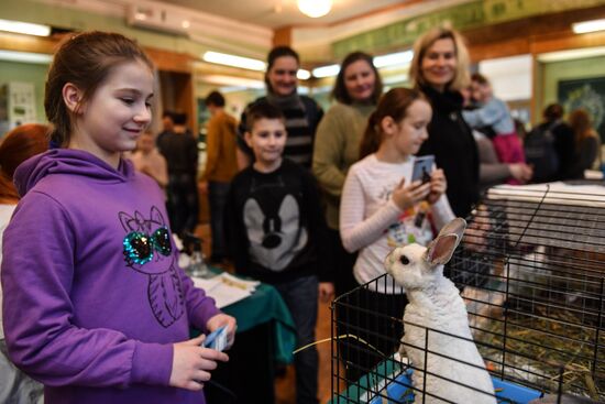 Russia Rabbits Exhibition