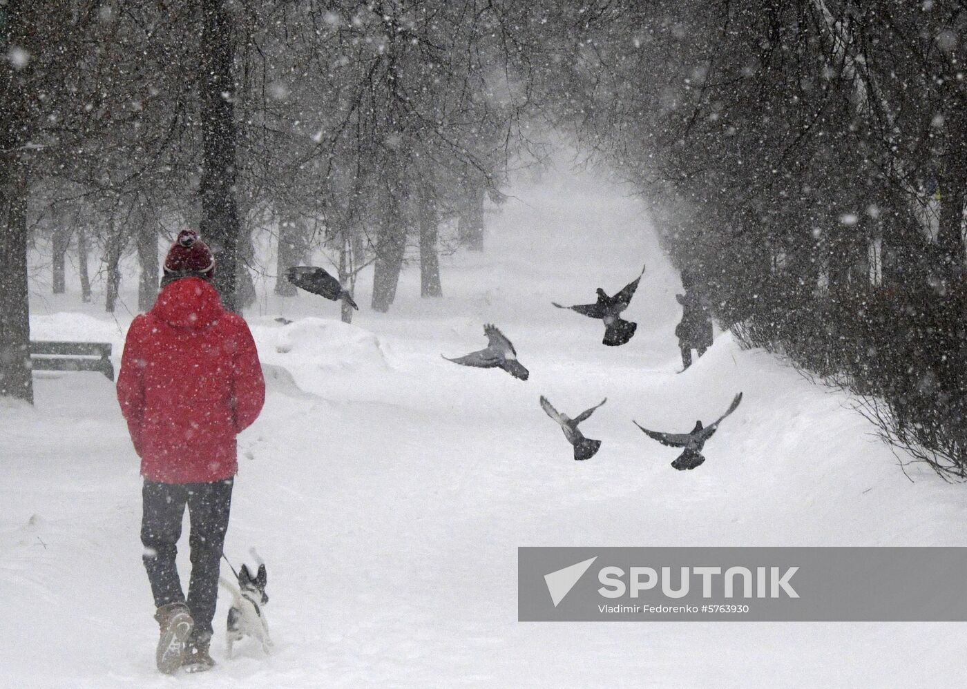 Russia Weather 