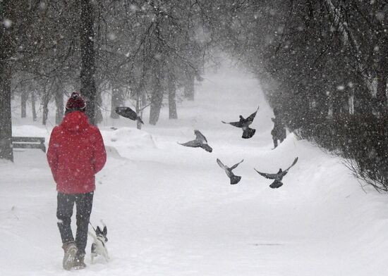 Russia Weather 