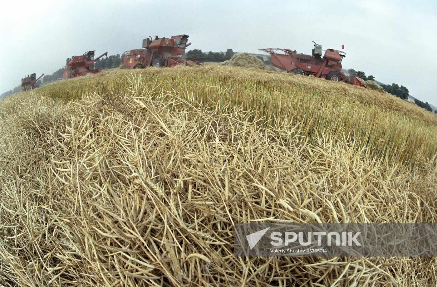 Harvesting in Karachay-Cherkess Autonomous Region