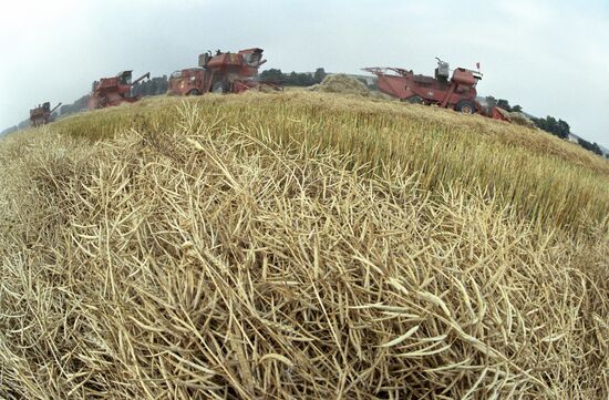 Harvesting in Karachay-Cherkess Autonomous Region