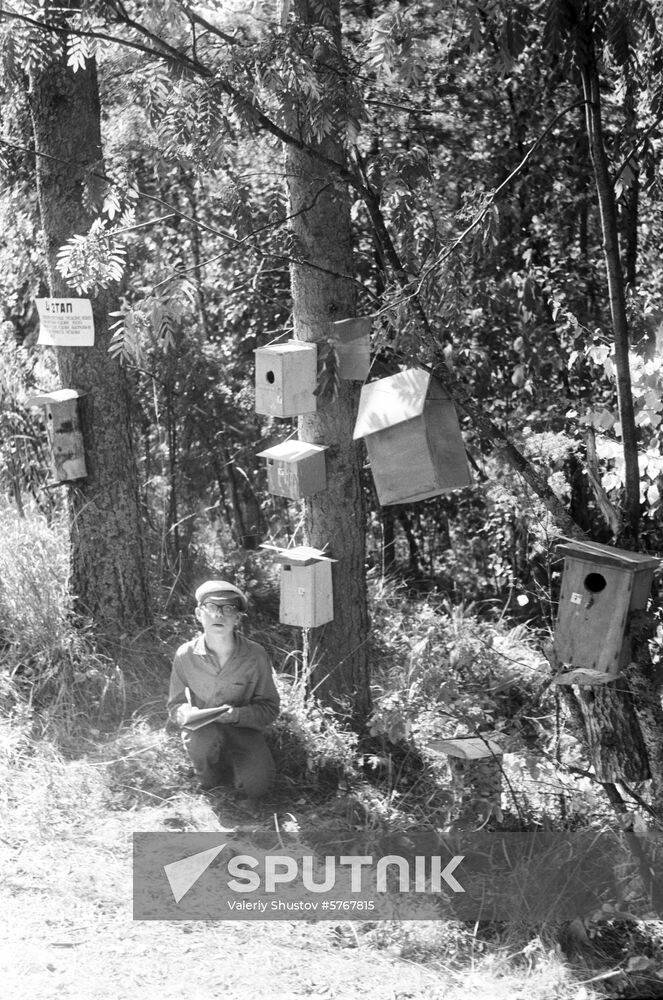 Minor Forest Academy of Institute of Forest of Karelian Branch of Soviet Academy of Sciences