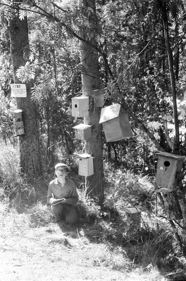 Minor Forest Academy of Institute of Forest of Karelian Branch of Soviet Academy of Sciences