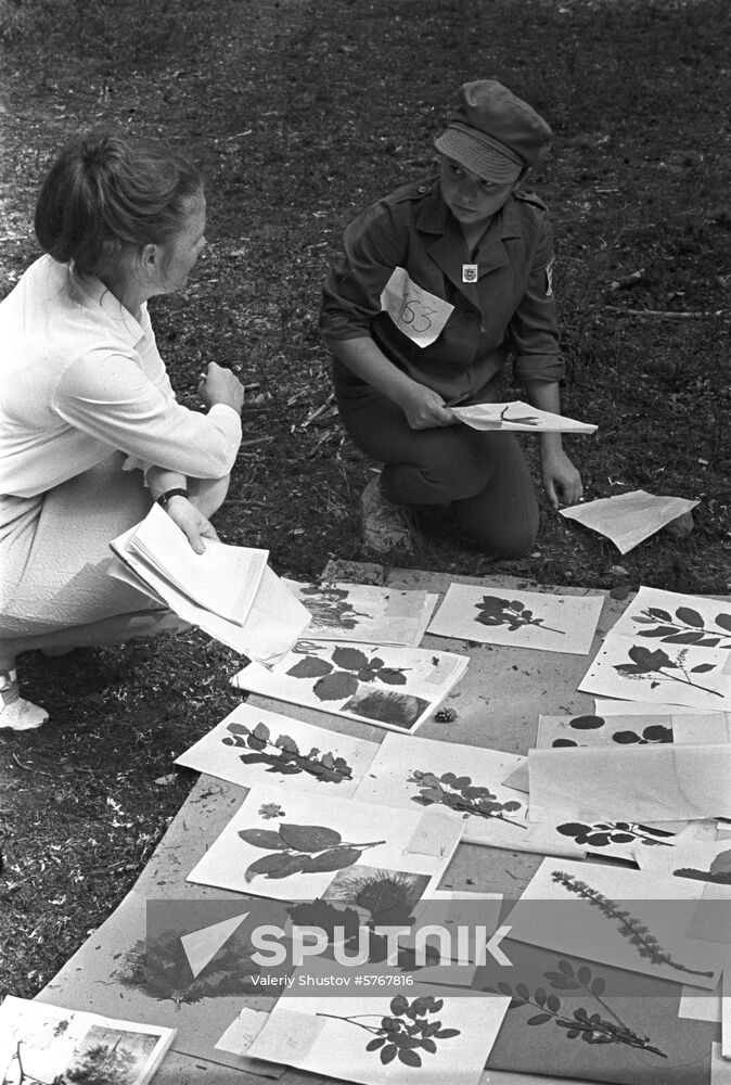 Minor Forest Academy of Institute of Forest of Karelian Branch of Soviet Academy of Sciences