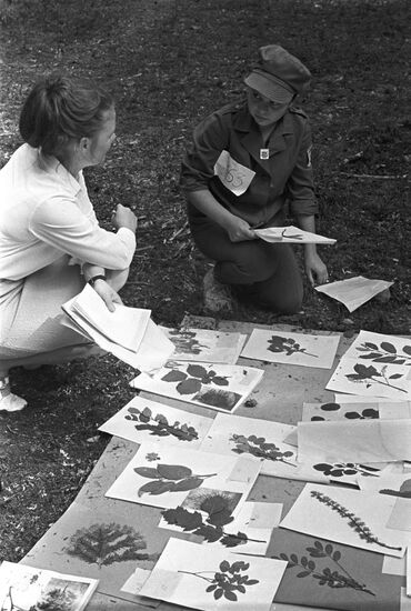 Minor Forest Academy of Institute of Forest of Karelian Branch of Soviet Academy of Sciences