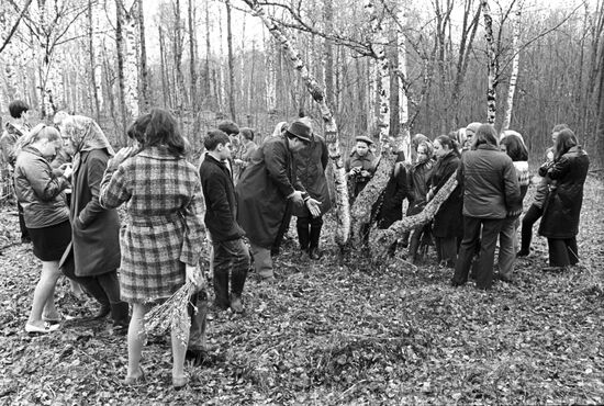 Minor Forest Academy of Institute of Forest of Karelian Branch of Soviet Academy of Sciences