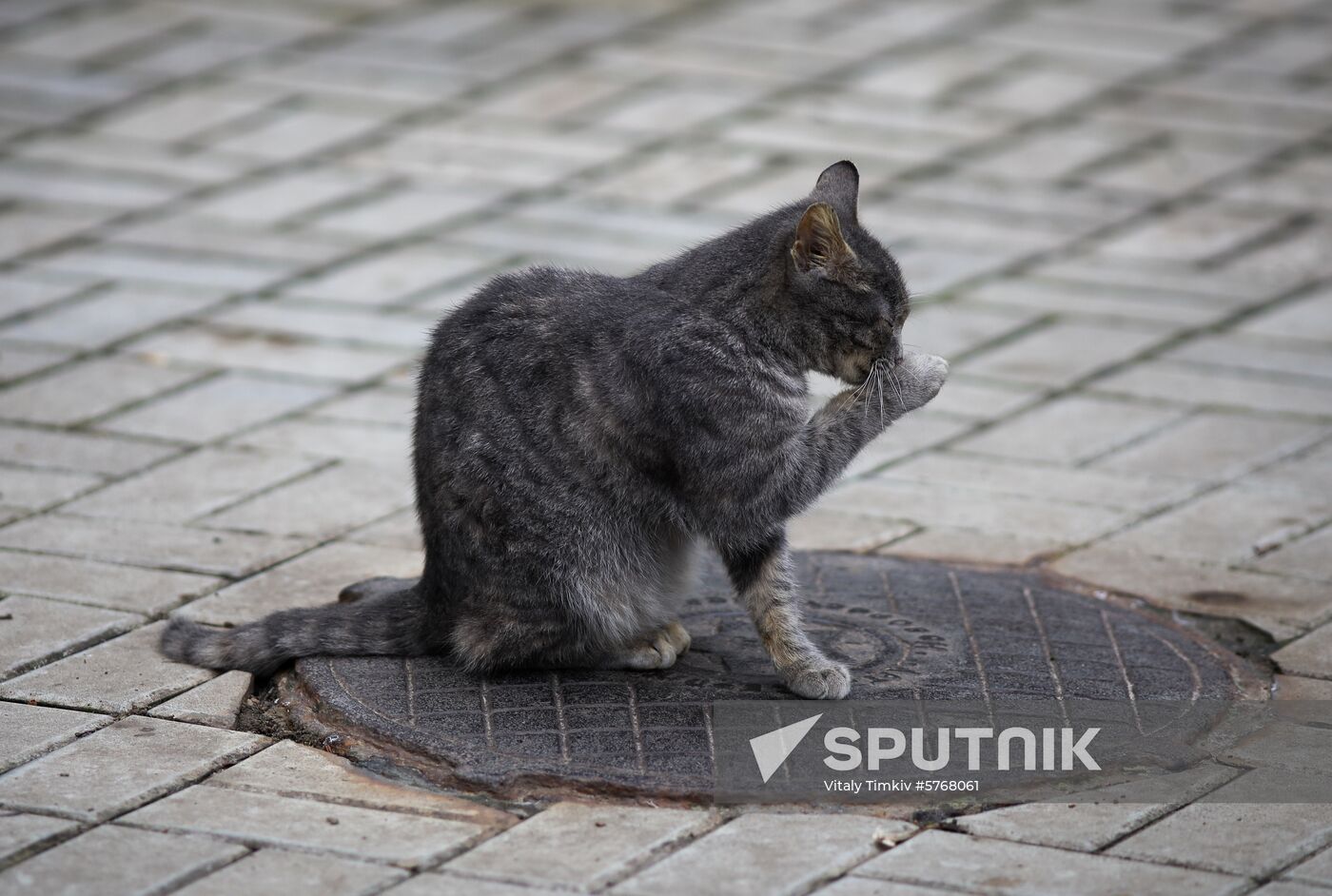 Russia Krasnodar Region