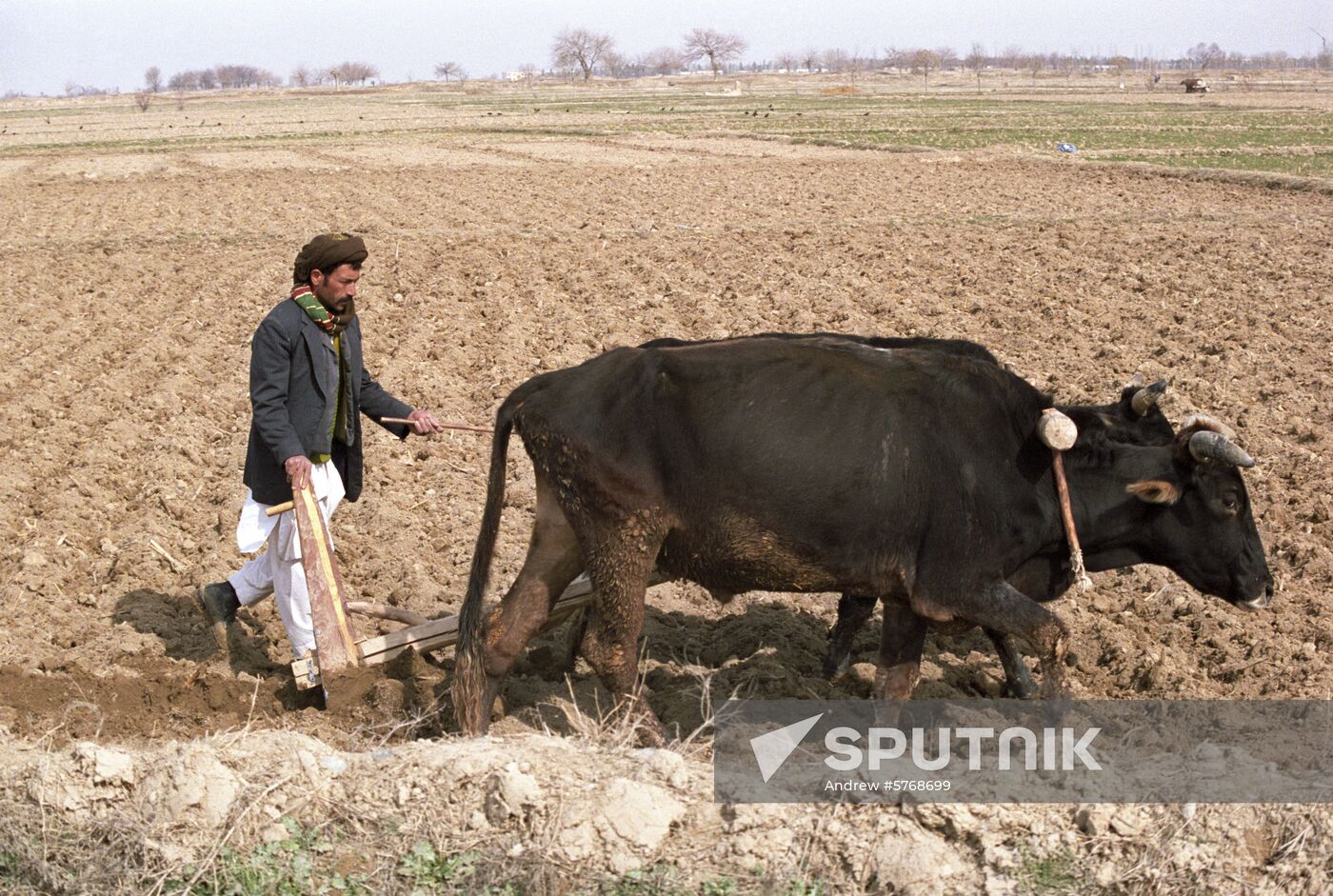 Afghanistan