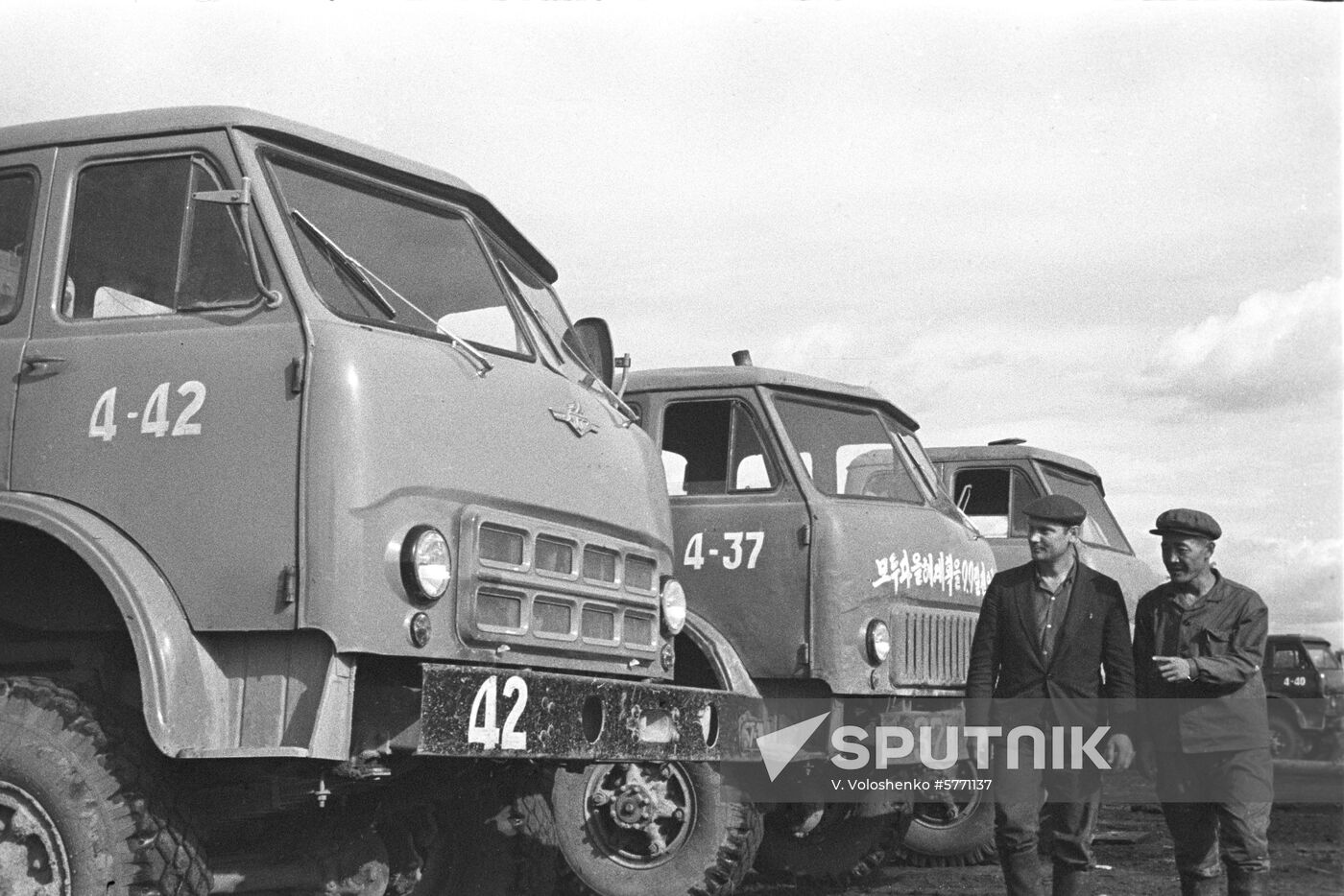 Cooperation between Soviet and Korean loggers