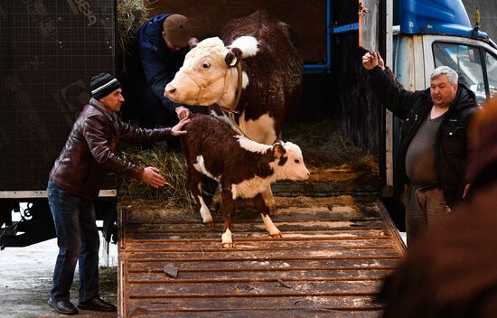 Russia Animal Husbandry Exhibition