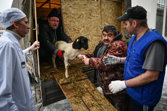 Russia Animal Husbandry Exhibition