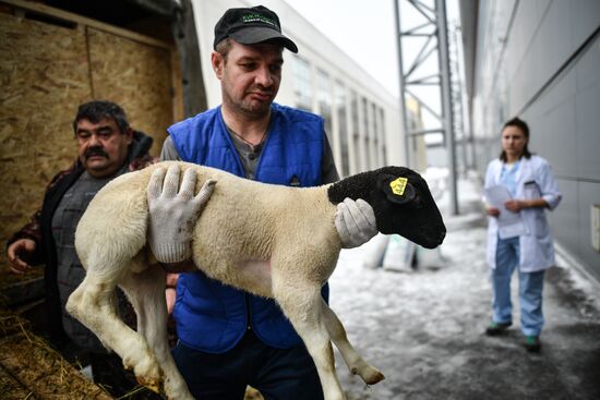 Russia Animal Husbandry Exhibition