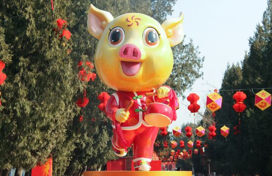 China New Year Celebrations