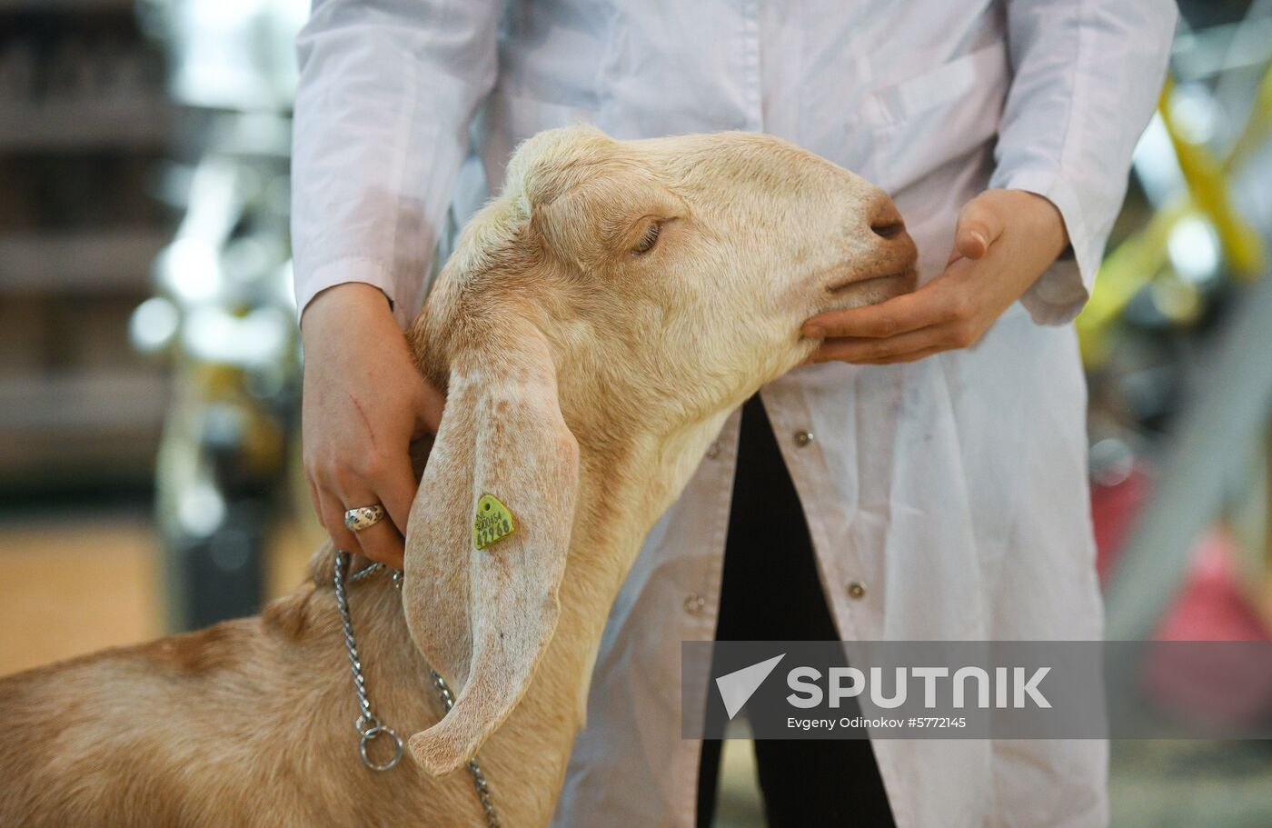 Russia Animal Husbandry Exhibition