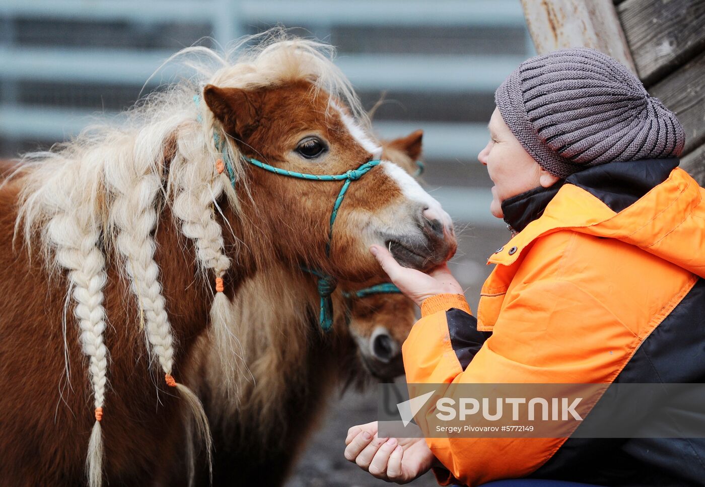 Russia Rostov Zoo