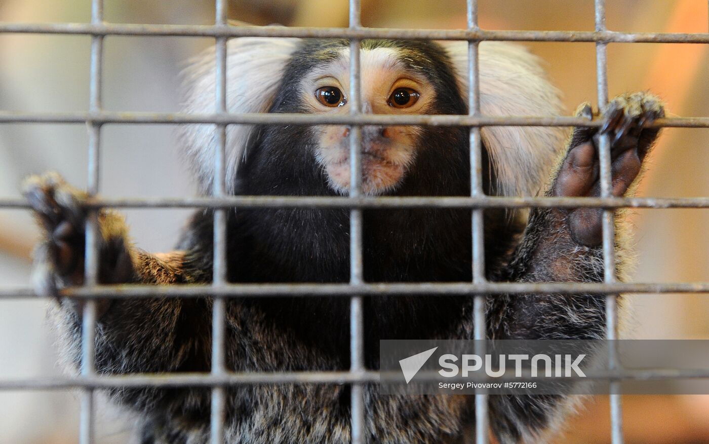 Russia Rostov Zoo