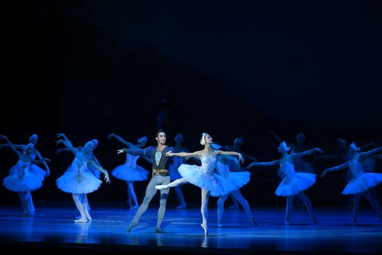 Russia Swan Lake Ballet