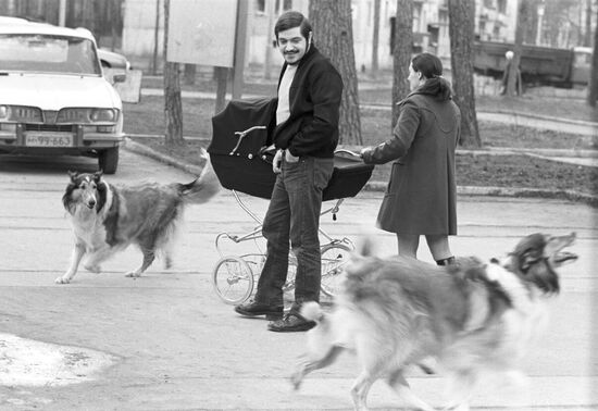 Institute for High Energy Physics