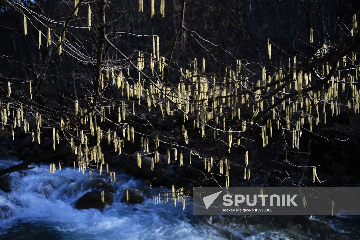 Regions of Russia. Crimea