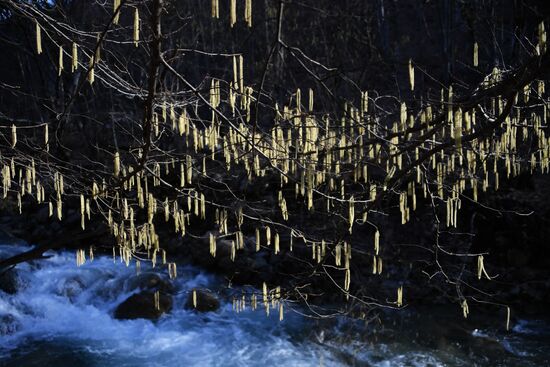 Regions of Russia. Crimea