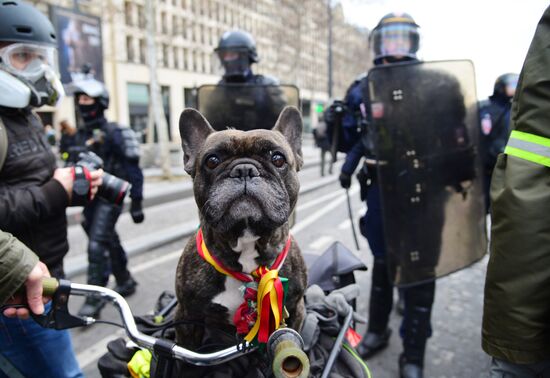 France Protests