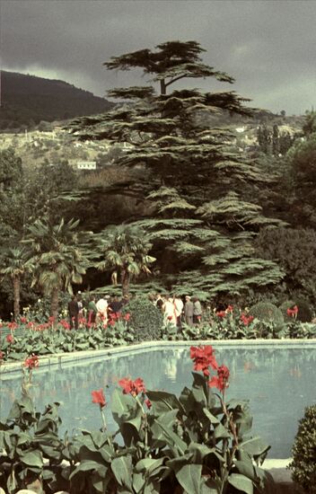 Nikitsky Botanical Garden
