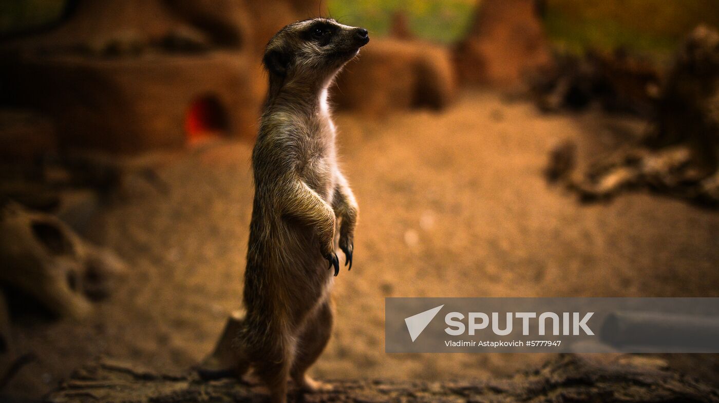 Russia Moscow Zoo