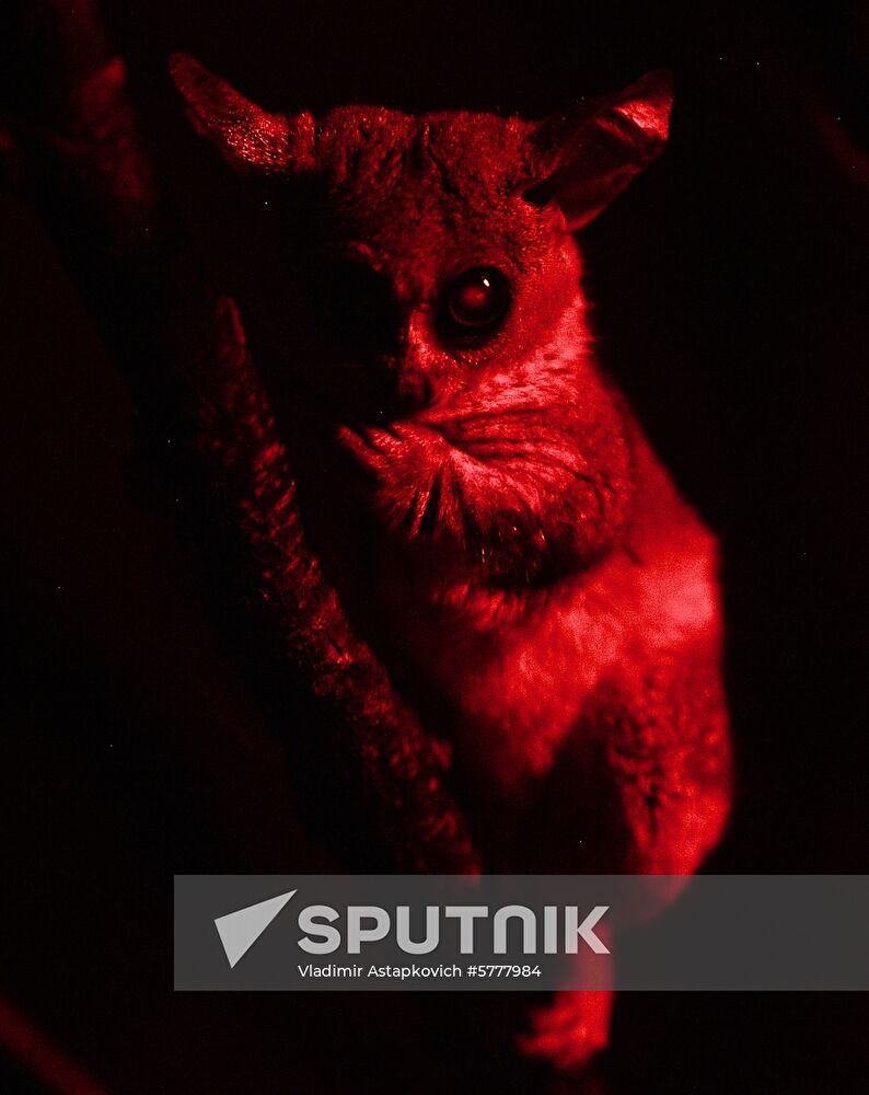Russia Moscow Zoo
