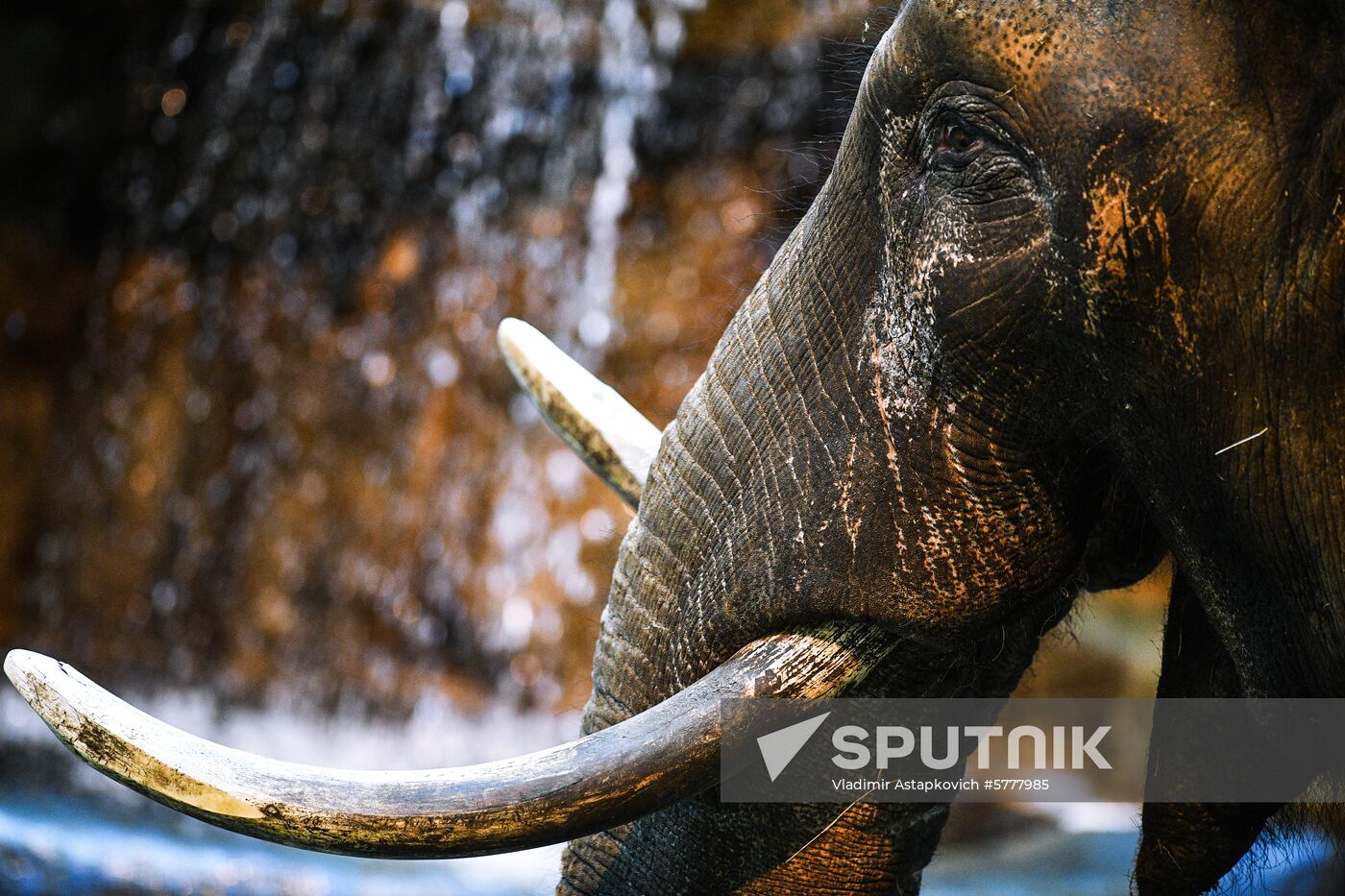 Moscow Zoo